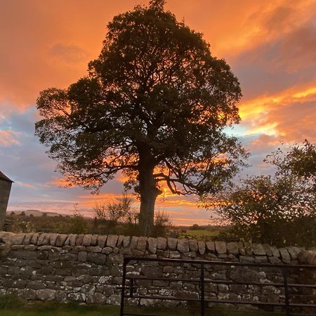 Wydon Farm Bed And Breakfast Haltwhistle Esterno foto