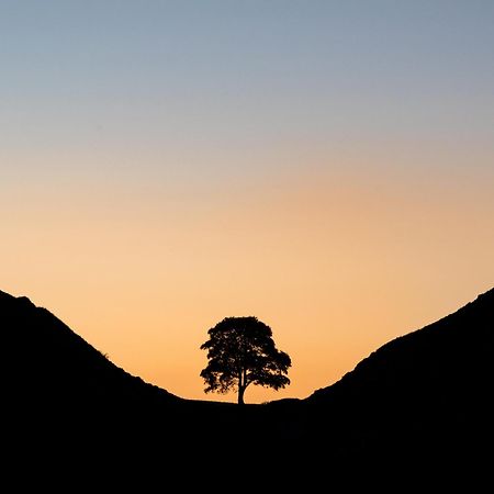 Wydon Farm Bed And Breakfast Haltwhistle Esterno foto