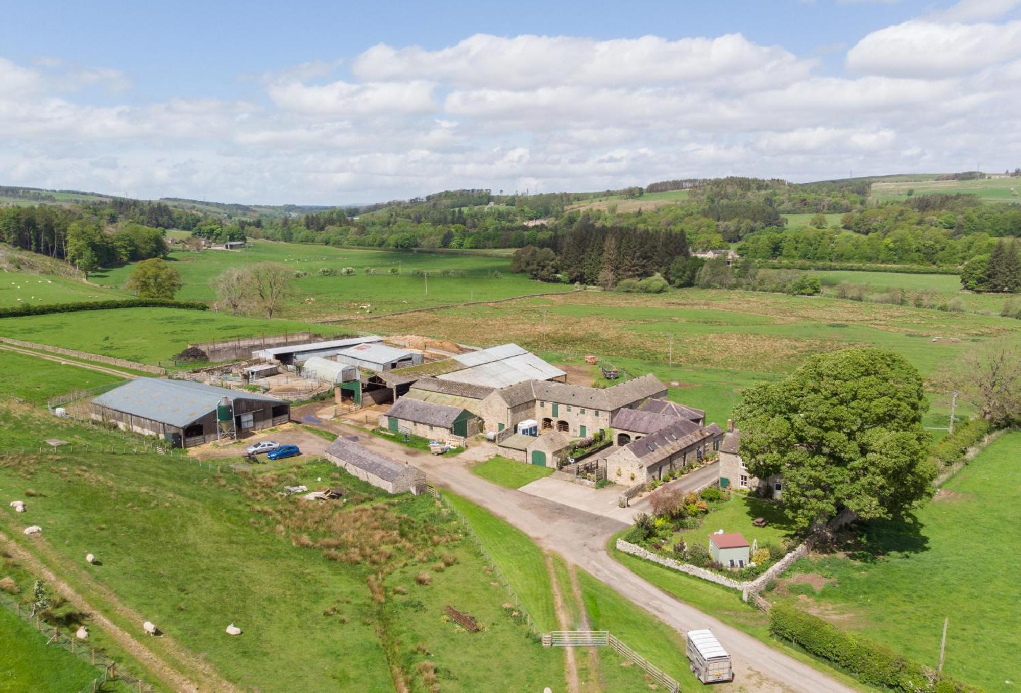 Wydon Farm Bed And Breakfast Haltwhistle Esterno foto