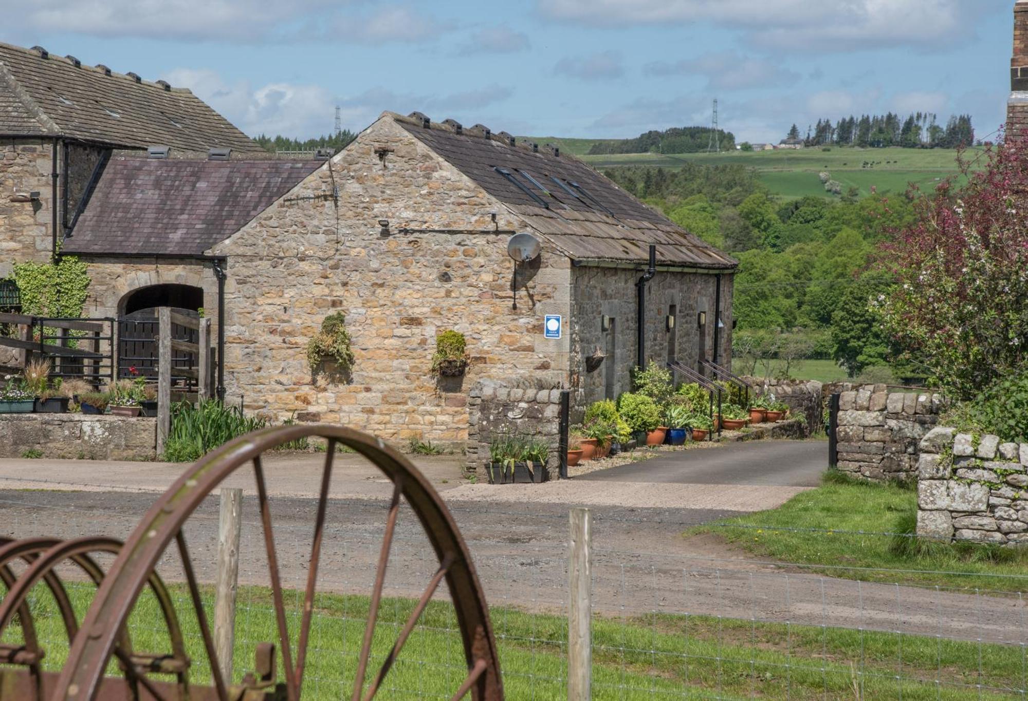 Wydon Farm Bed And Breakfast Haltwhistle Esterno foto