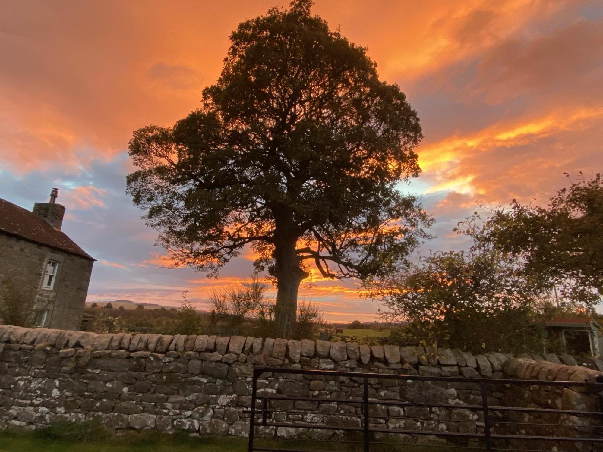 Wydon Farm Bed And Breakfast Haltwhistle Esterno foto