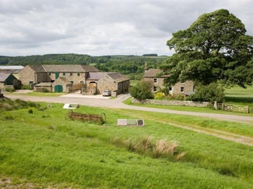 Wydon Farm Bed And Breakfast Haltwhistle Esterno foto