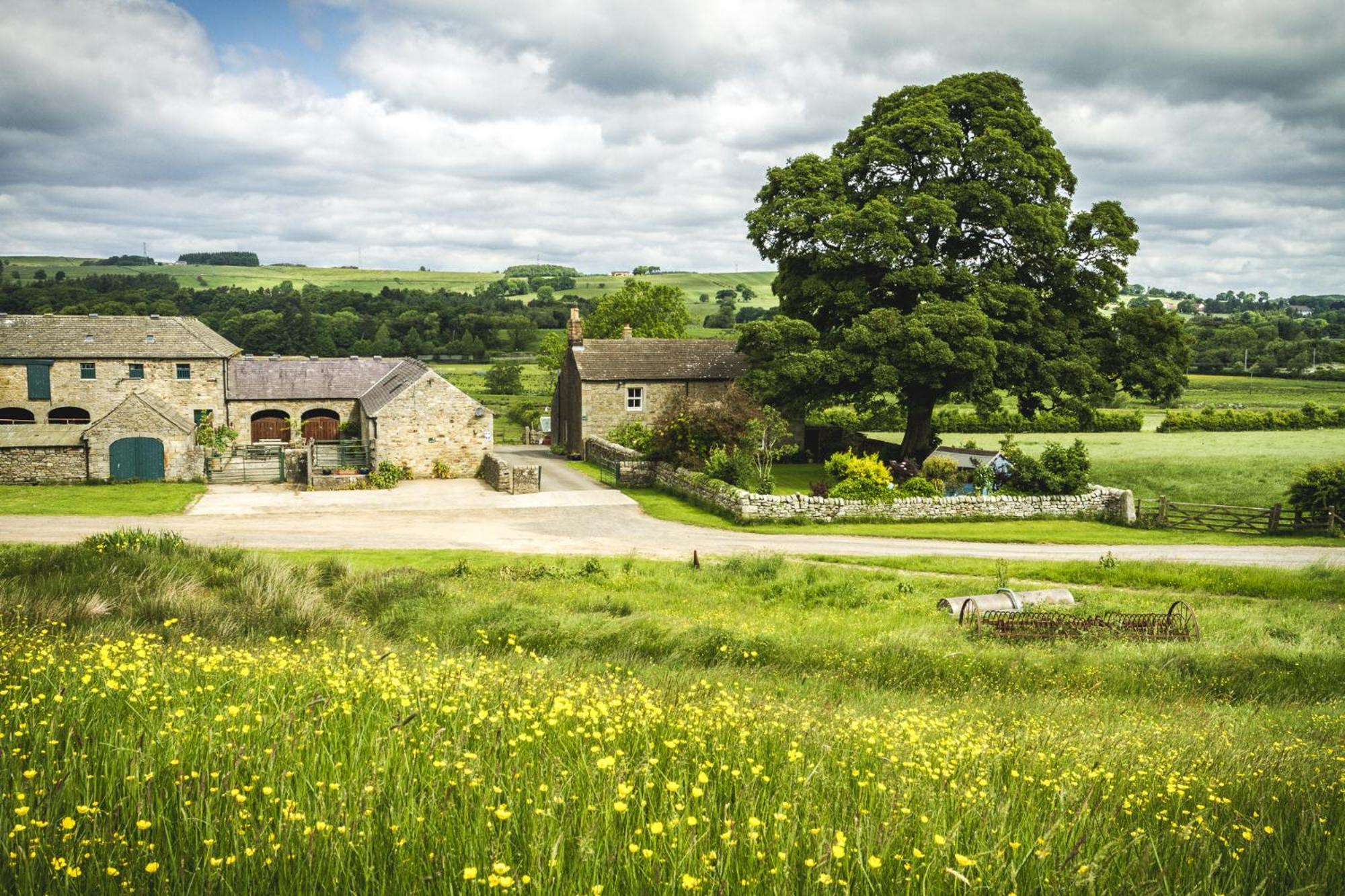 Wydon Farm Bed And Breakfast Haltwhistle Esterno foto