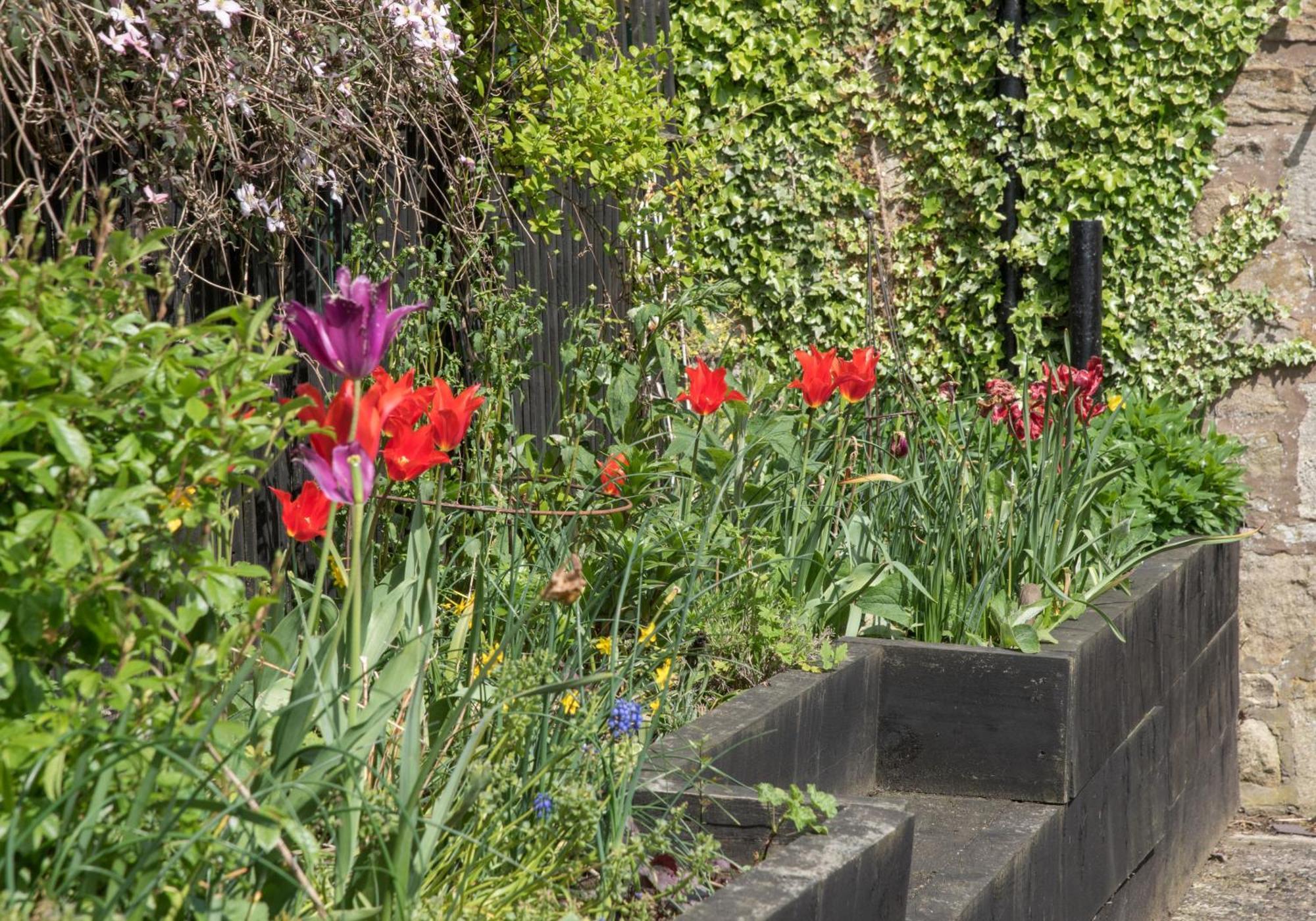 Wydon Farm Bed And Breakfast Haltwhistle Esterno foto